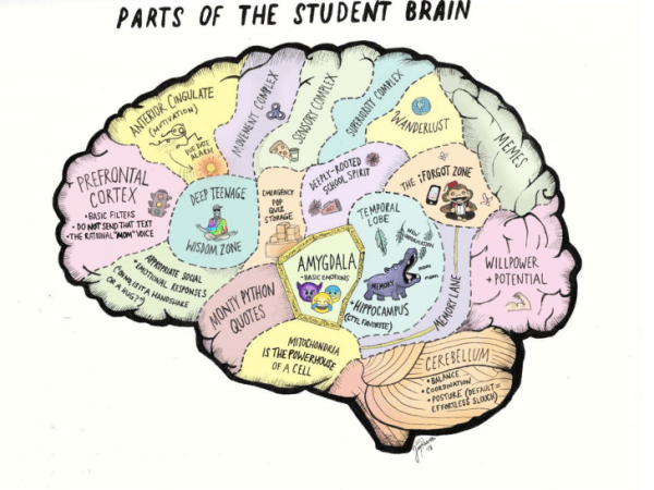 The Adolescent Community of Engagement: A Framework for Research on Adolescent Online&nbsp;Learning